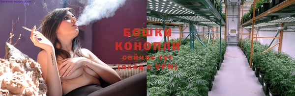 ПСИЛОЦИБИНОВЫЕ ГРИБЫ Кинешма